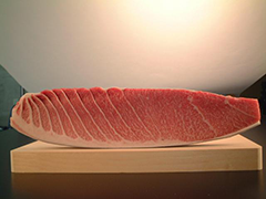 Ootoro / Chuutoro (Fatty Tuna)