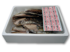 Charcoal-grilled bonito